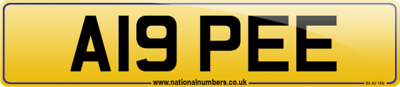 A19 PEE