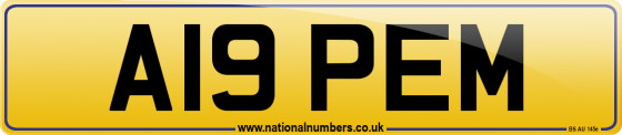 A19 PEM