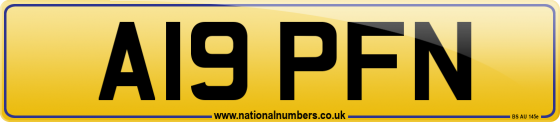 A19 PFN
