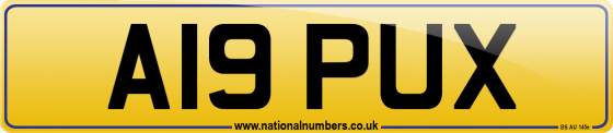 A19 PUX