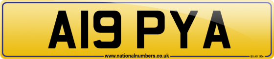 A19 PYA