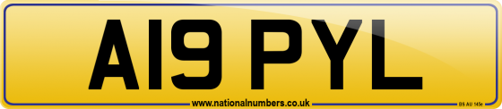 A19 PYL