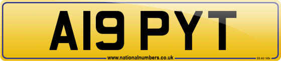 A19 PYT