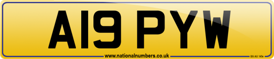 A19 PYW