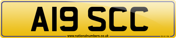 A19 SCC