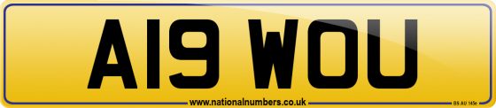 A19 WOU