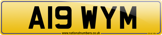 A19 WYM