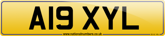 A19 XYL