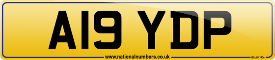 A19 YDP