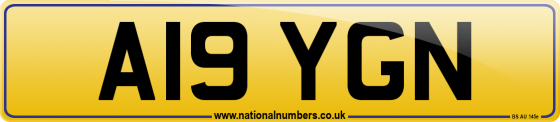A19 YGN