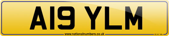 A19 YLM