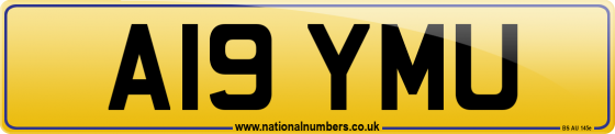 A19 YMU