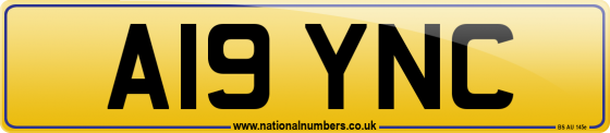 A19 YNC