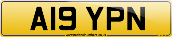 A19 YPN