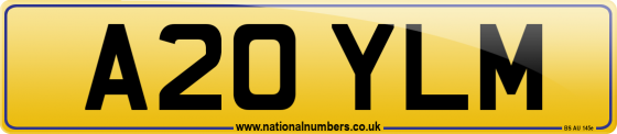 A20 YLM