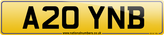 A20 YNB