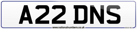 A22 DNS
