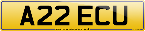 A22 ECU