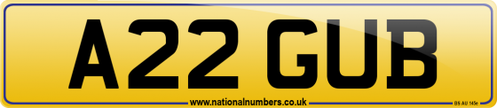 A22 GUB
