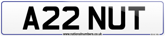 A22 NUT