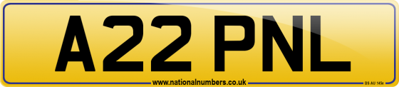 A22 PNL