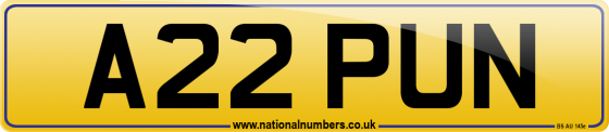 A22 PUN