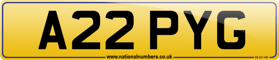 A22 PYG