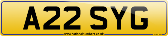 A22 SYG