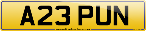 A23 PUN
