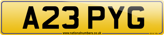 A23 PYG