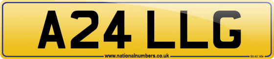 A24 LLG