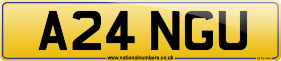 A24 NGU