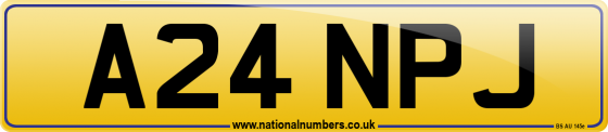 A24 NPJ