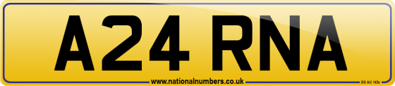 A24 RNA