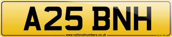 A25 BNH