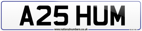 A25 HUM