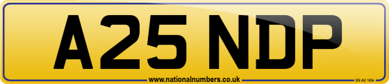 A25 NDP