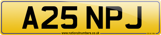 A25 NPJ