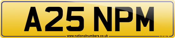 A25 NPM