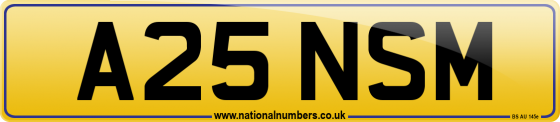 A25 NSM