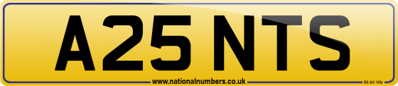 A25 NTS