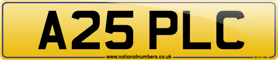 A25 PLC