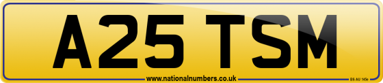 A25 TSM