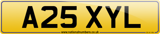 A25 XYL