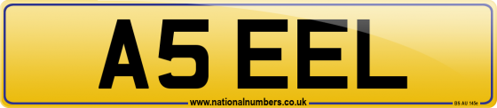 A5 EEL