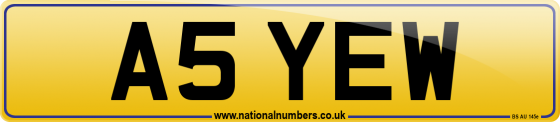 A5 YEW