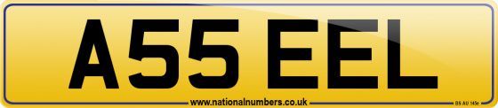 A55 EEL