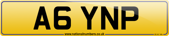 A6 YNP