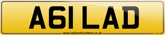 A61 LAD
