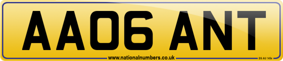 AA06 ANT